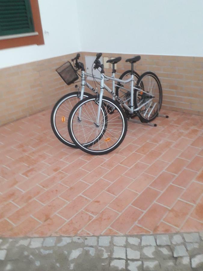 Alojamento Local Patudos, Suite Com Terraco Privado Tavira Exterior photo